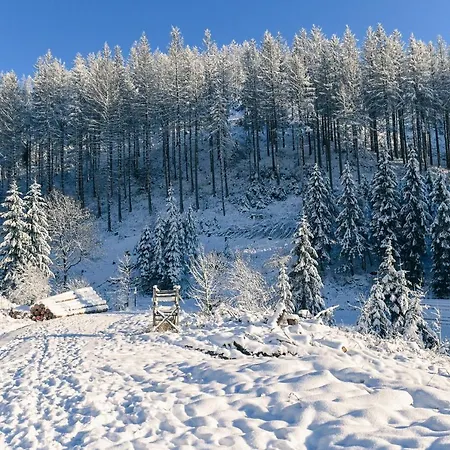 Sleep Space 26 - Tiny Village Harz Tatil Evi
